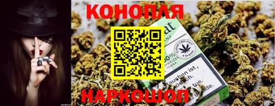 a pvp Славгород