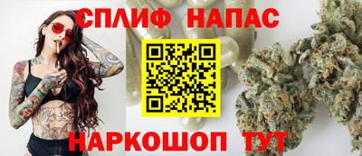 a pvp Славгород