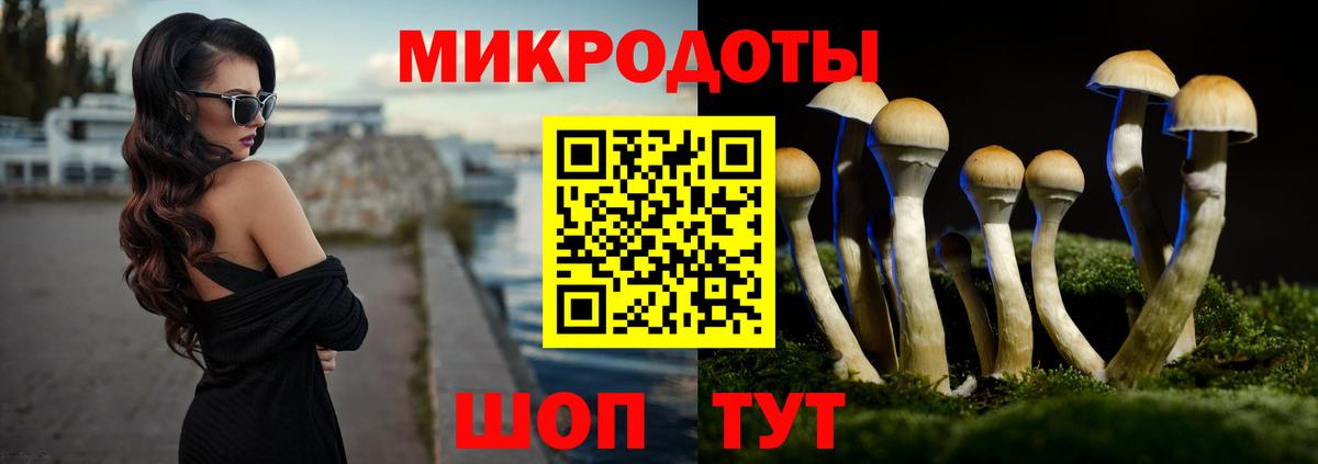 Усть-Илимск  Псилоцибиновые грибы Magic Shrooms  Вход с VPN 